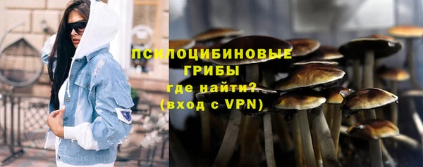прущая мука Абаза