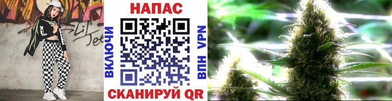 Канабис гибрид  Калининград 