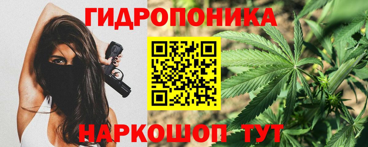 Калининград  Каннабис сатива  Бошки Шишки план  Вход с VPN 